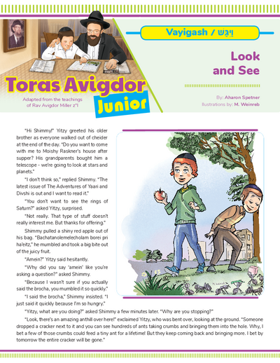Toras Avigdor - Junior — Parshas Vayigash