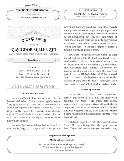 Toras Avigdor — Parshas Kedoshim