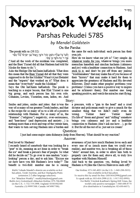 Novardok weekly — Parshas Pekudei