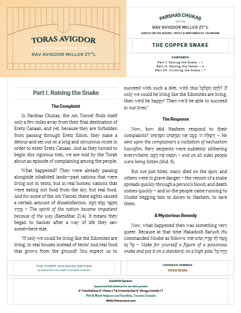Toras Avigdor — Parshas Chukas