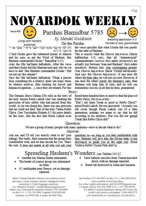 Novardok weekly — Parshas Bamidbar