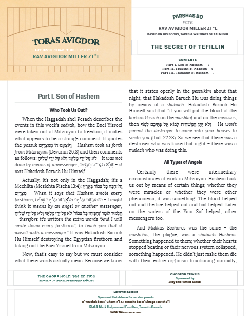 Toras Avigdor — Parshas Bo