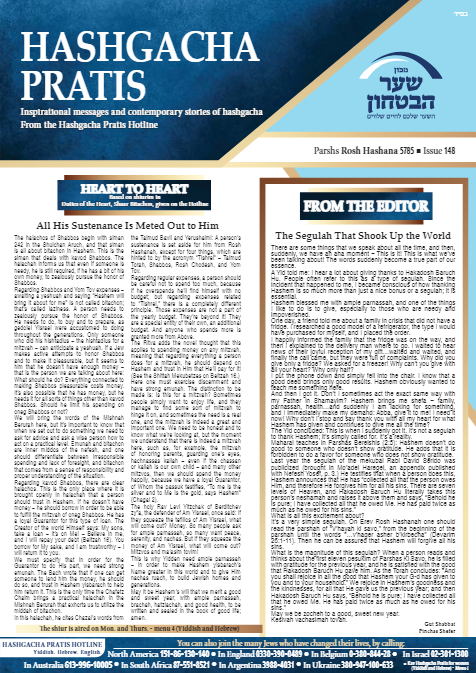 Hashgacha Pratis — Parshas Nitzavim-Vayelech