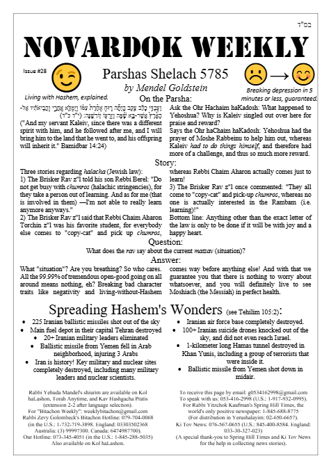 Novardok weekly — Parshas Shlach