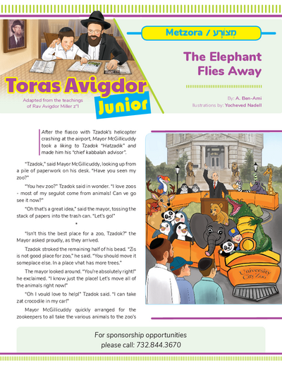 Toras Avigdor - Junior — Parshas Metzora