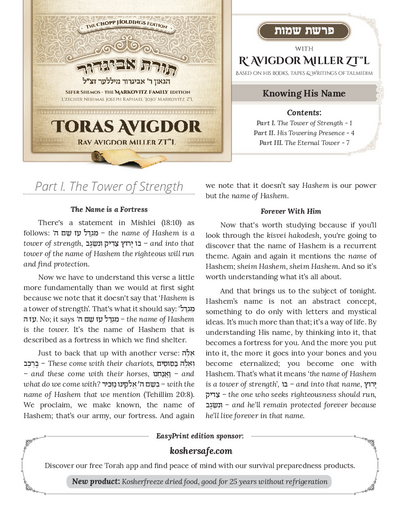 Toras Avigdor — Parshas Shemos