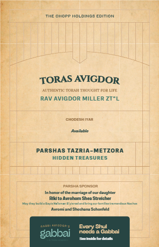 Toras Avigdor — Parshas Tazria - Metzora