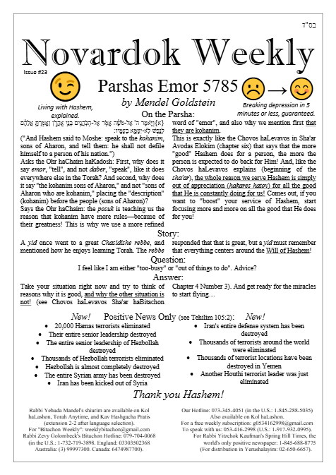 Novardok weekly — Parshas Emor