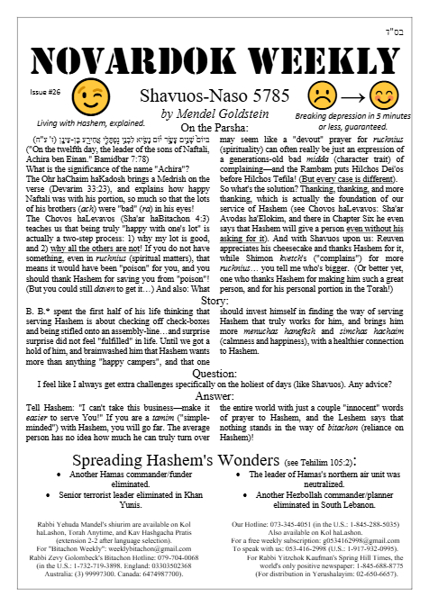 Novardok weekly — Parshas Naso