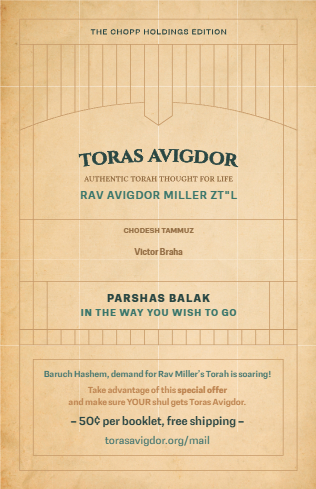Toras Avigdor — Parshas Balak