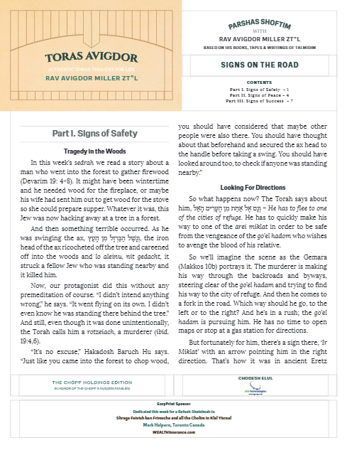 Toras Avigdor — Parshas Shoftim