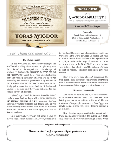 Toras Avigdor — Parshas Bamidbar