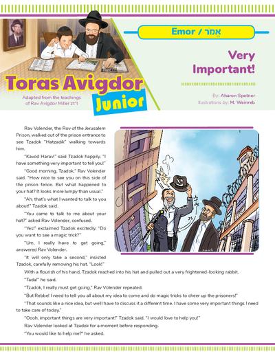 Toras Avigdor - Junior — Parshas Emor